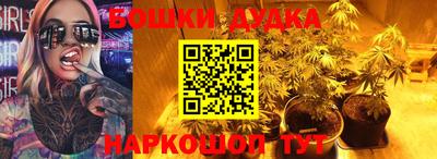 стафф Будённовск