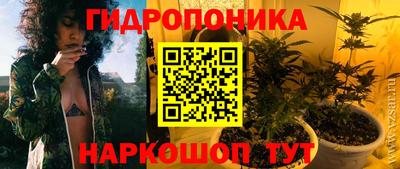 стафф Будённовск