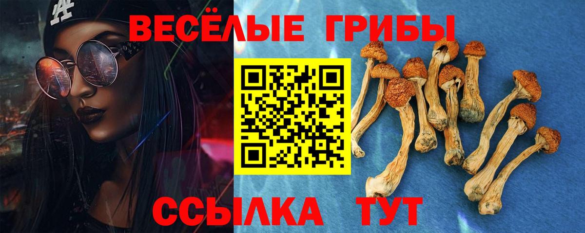Псилоцибиновые грибы Psilocybe Череповец