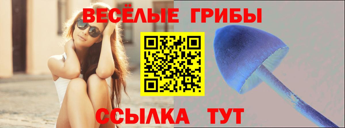 Галлюциногенные грибы мухоморы  Галлюциногенные грибы MAGIC MUSHROOMS  где купить наркоту  Вход с VPN  Череповец 